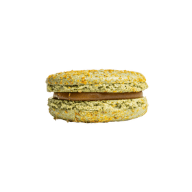Macaron Pistache